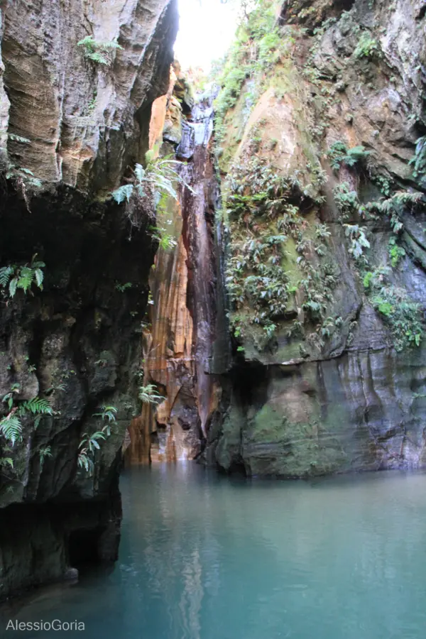 Madagascar 2013