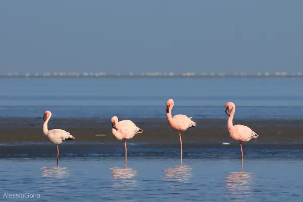 Namibia 2016