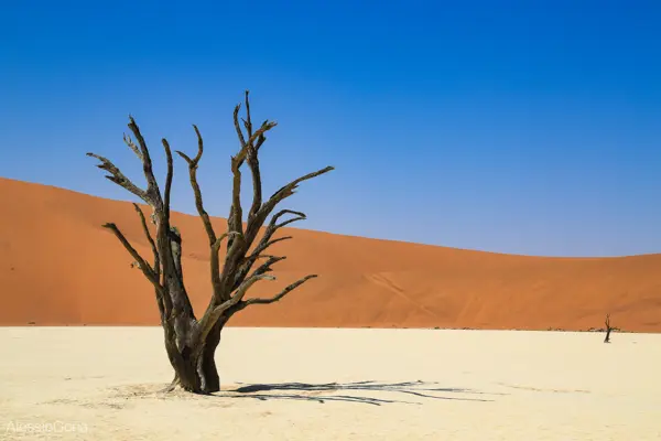 Namibia 2016