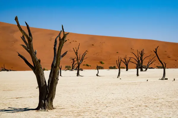Namibia 2016