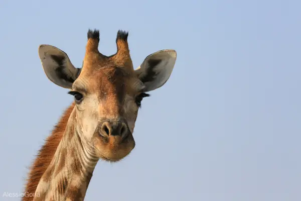 Namibia 2016