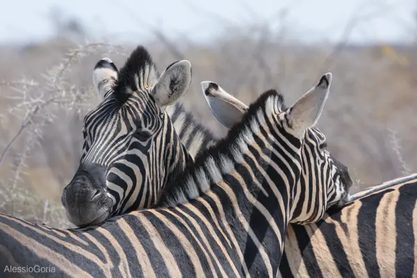 Namibia 2016