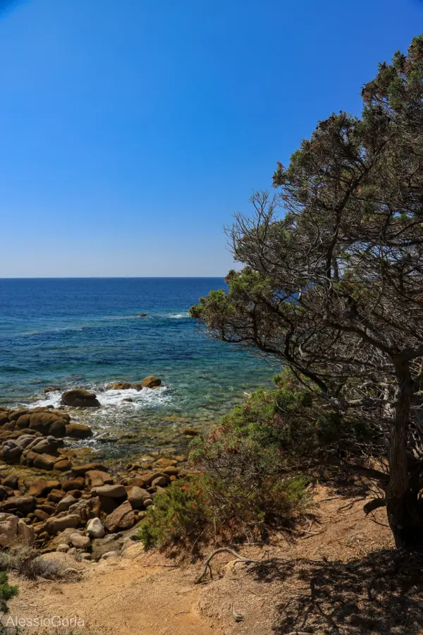 Corsica 2020