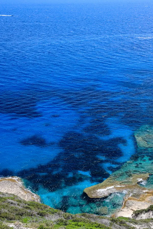 Corsica 2020