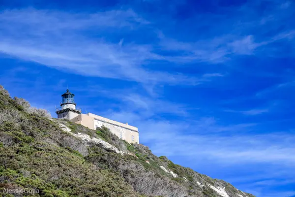 Corsica 2020