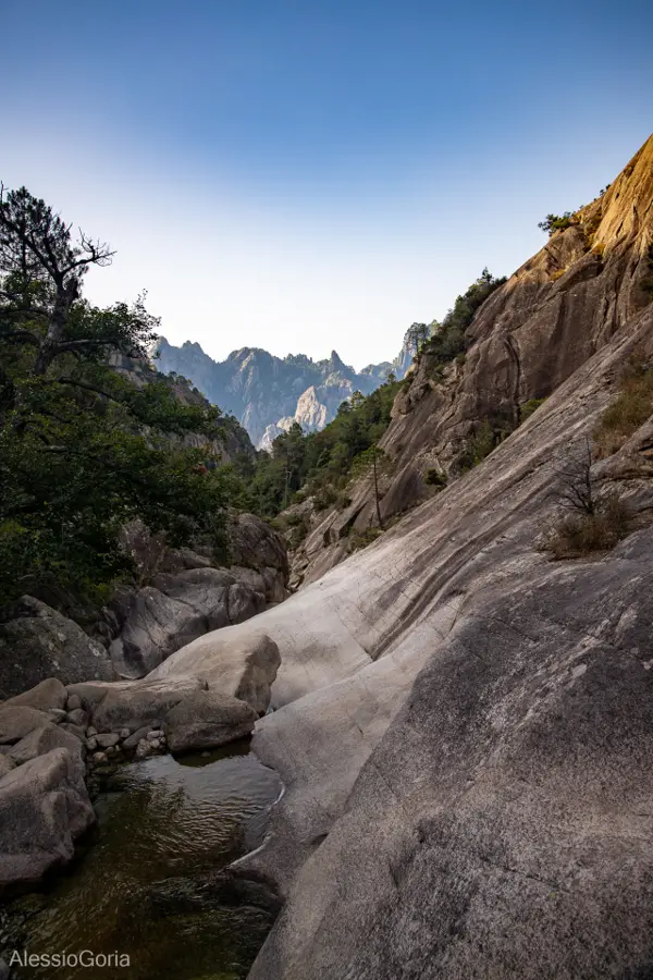 Corsica