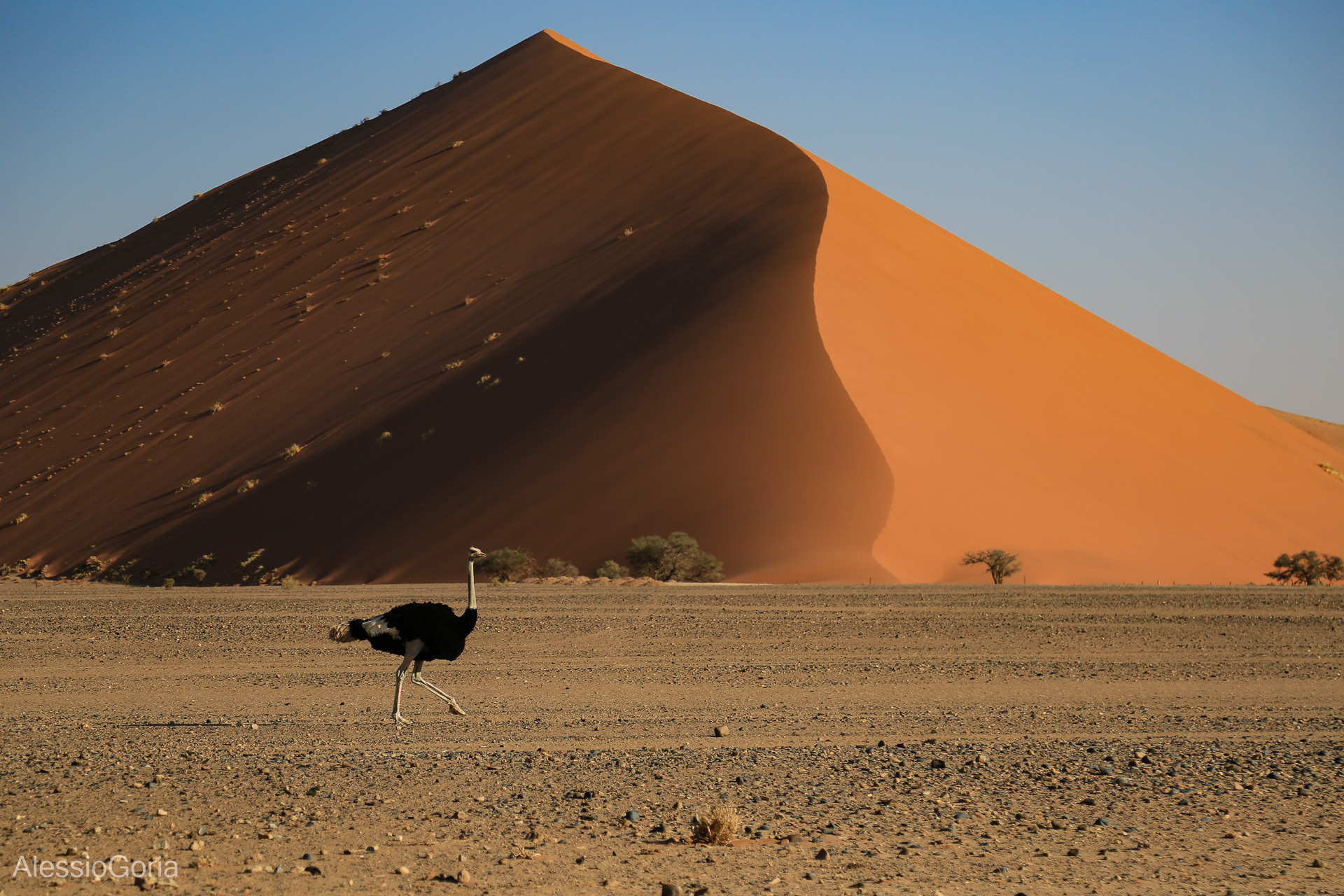 Namibia
